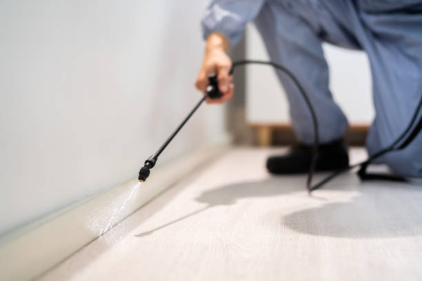 Bed Bug Pre-Treatment Preparation Assessment in Iola