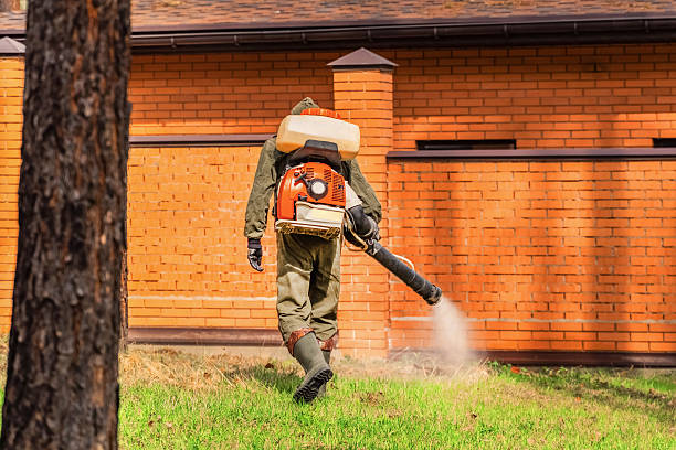Bed Bug Clearance Verification and Documentation in Iola
